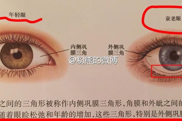 三白眼的女生好看吗?面相分析 眼睛大怎么会不好看