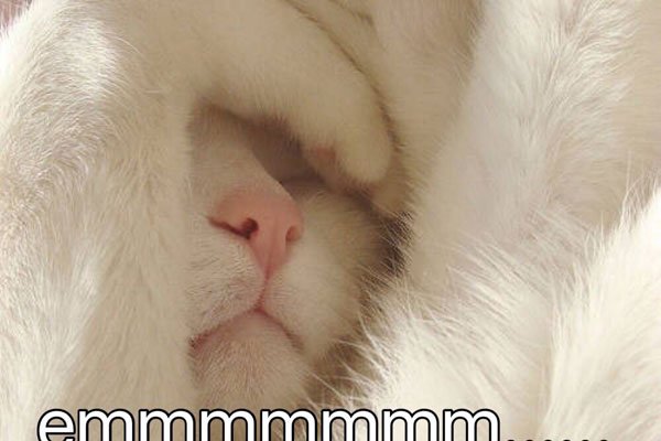 emmmʲô��˼ �����е�ʹ��Ƶ�ʺܶ�