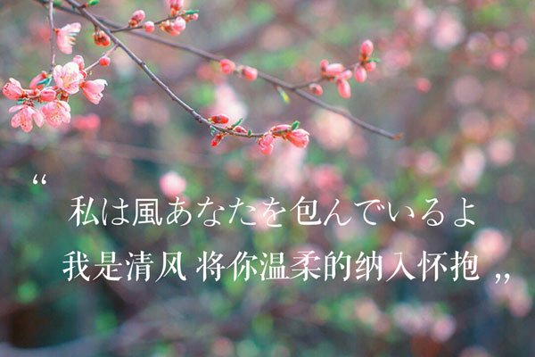 满汉全席的黑历史 这样的组合全部都是戏精