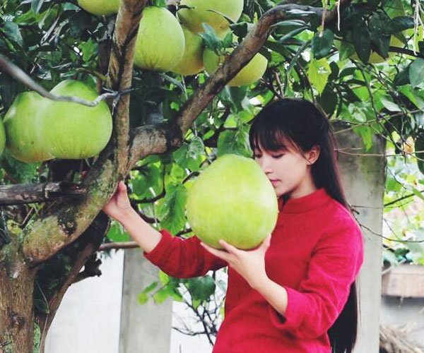 李子柒年入多少钱怎么盈利的 承认有团队又如何呢