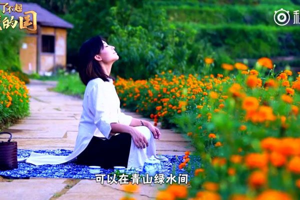 李子柒去了天天向上? 身世背景充满了谜底