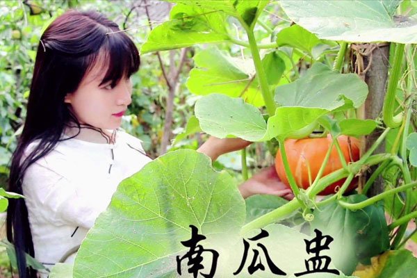 李子柒去了天天向上? 身世背景充满了谜底