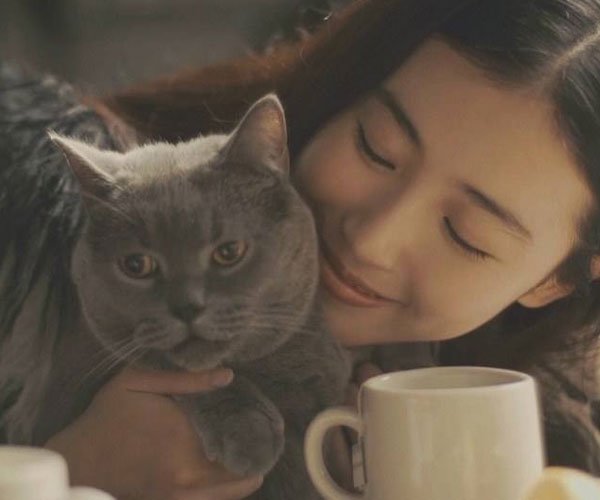 猫咪能不能和女生一起睡吗 睡在一起阴气会加重