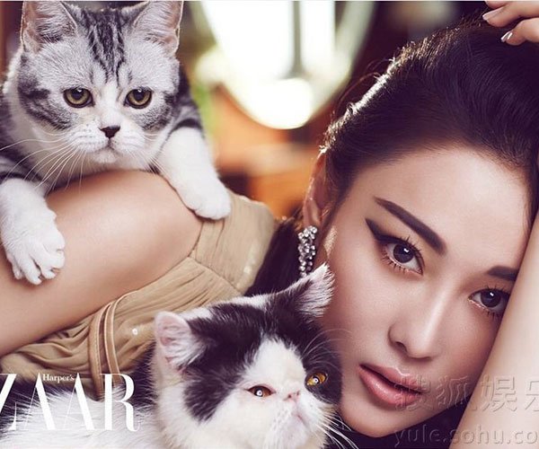 猫咪能不能和女生一起睡吗 睡在一起阴气会加重