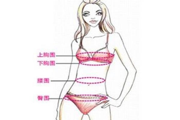 示意图:a到f罩杯的胸是啥样的 不穿内衣是最舒服的