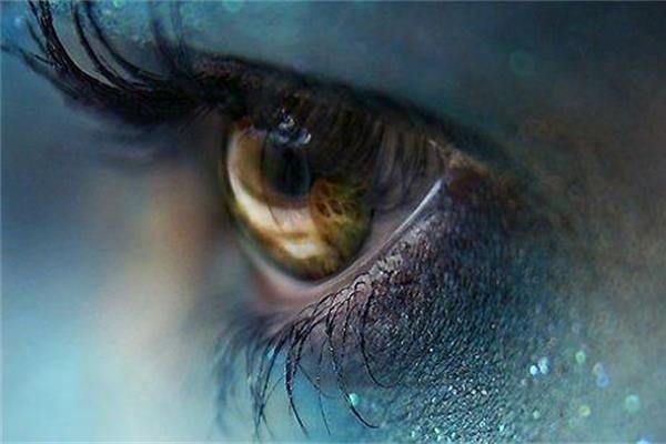 éɽ�����ھ��������� �ھ��Ѷ�ϵ�����ڿ�����
