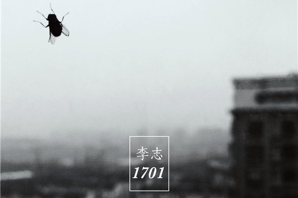 喜欢李志的女生不能要 林黛玉不是女朋友的首选