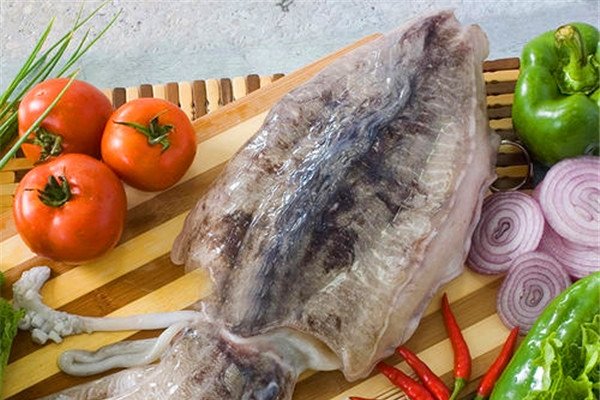 乌贼是四维生物吗 理论还没有得到证实
