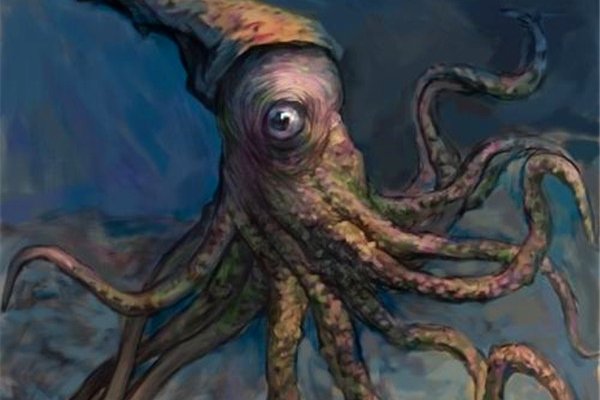乌贼是四维生物吗 理论还没有得到证实