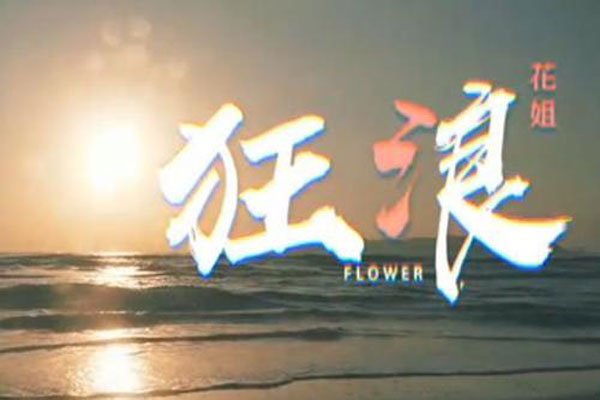 狂狼是一种态度,狂狼在起起伏伏是什么歌曲 花姐被封杀了吗