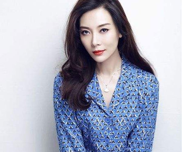 柳云龙对陈数是闭口不提 陈数有点喧宾夺主的感觉
